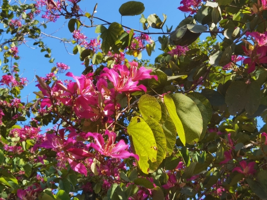 赤峰花花牛飲料廠地址電話(huà)號(hào)碼-第1張圖片