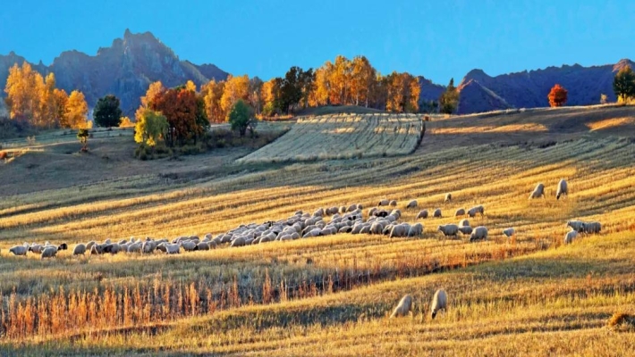 赤峰蒙民服裝廠(chǎng)招聘電話(huà)號(hào)碼-第1張圖片