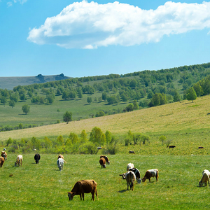 赤峰怡佳超市電話號碼多少-第1張圖片