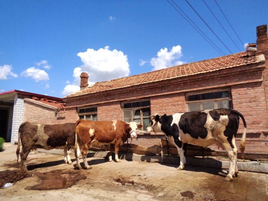 赤峰紅山區(qū)冷飲店電話號(hào)碼-第1張圖片
