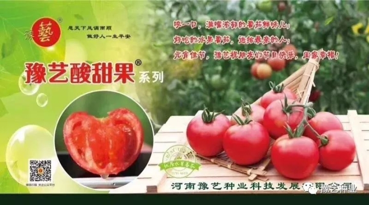 赤峰蔬菜研究院官網(wǎng)電話號碼-第1張圖片