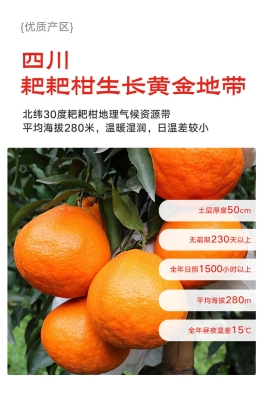 赤峰水果禮盒廠家電話號(hào)碼查詢-第1張圖片