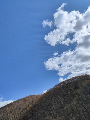 赤峰沐絲理發(fā)店地址電話號碼-第1張圖片