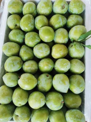 赤峰山藥代辦公司電話是多少號-第1張圖片