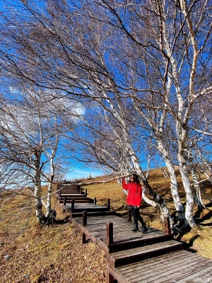 赤峰悅賓馬場電話號碼查詢是多少-第1張圖片