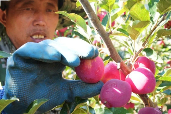 赤峰寶石原料加工廠電話號碼-第1張圖片