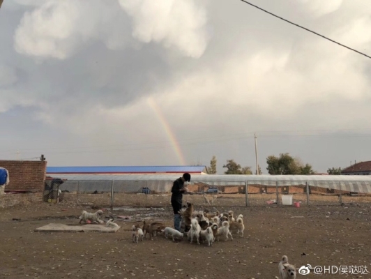 赤峰賣狗基地電話多少號(hào)-第1張圖片