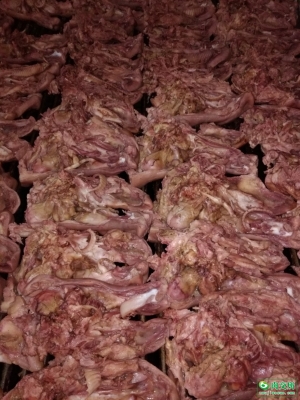 內蒙赤峰豬頭批發(fā)電話號碼是多少-第1張圖片