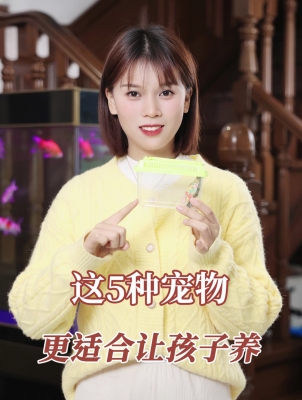 赤峰寵物代養(yǎng)公司電話號(hào)碼查詢-第1張圖片