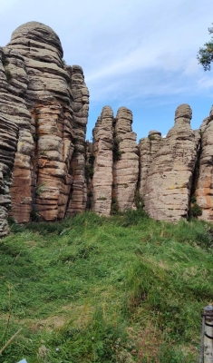 赤峰阿偉美發(fā)電話多少號(hào)-第1張圖片