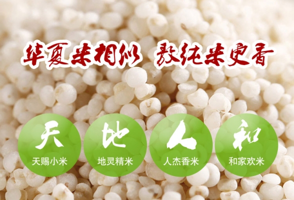 赤峰敖漢奶茶店電話號(hào)碼多少-第1張圖片