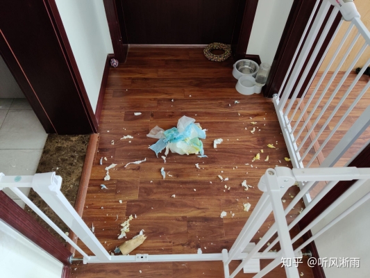 赤峰柯基賣家具電話號(hào)碼多少-第1張圖片