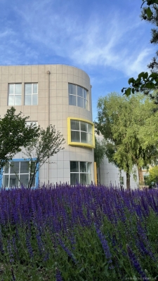 赤峰愛(ài)悅藍(lán)天游泳館電話號(hào)碼-第1張圖片