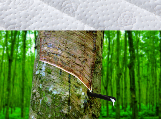 赤峰收彈簧床墊的地方電話號(hào)碼-第1張圖片