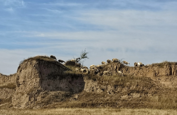 赤峰市寧城魚具店電話地址查詢-第1張圖片