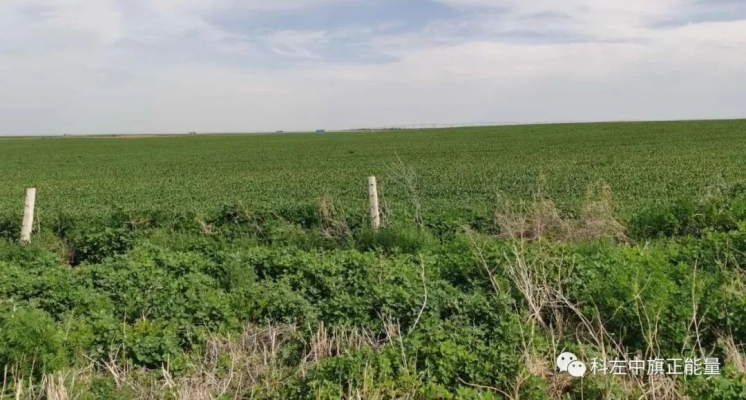 赤峰強(qiáng)潤(rùn)奶牛場(chǎng)地址電話號(hào)碼-第1張圖片