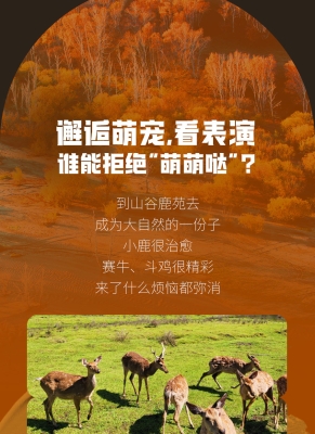 赤峰市賣鴨子的地方電話號碼-第1張圖片