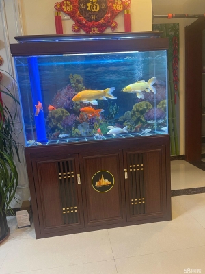 赤峰回收魚(yú)缸電話多少啊-第1張圖片