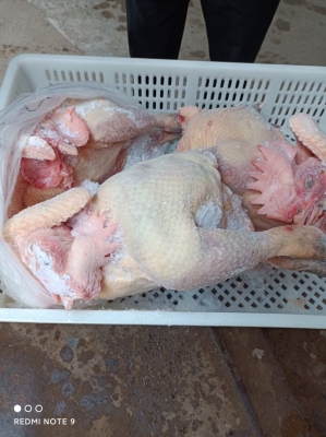 赤峰凍品雞批發(fā)電話地址查詢-第1張圖片