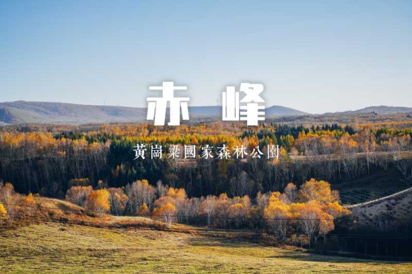 赤峰森林公安局電話號碼是多少-第1張圖片