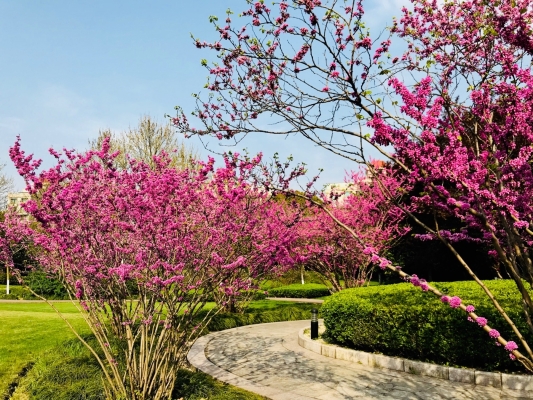 赤峰四季雅苑物業(yè)電話號碼-第1張圖片