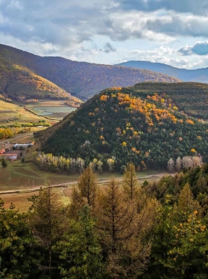 赤峰異型鐵芯批發(fā)電話號碼查詢-第1張圖片
