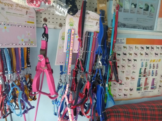 赤峰辛巴寵物店地址電話號碼-第1張圖片