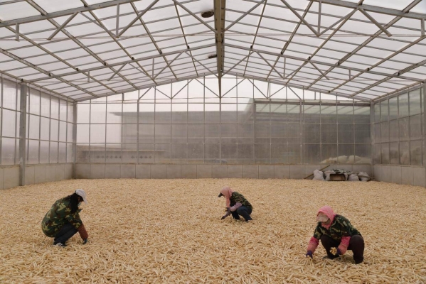 赤峰牛營子酒店電話多少號-第1張圖片