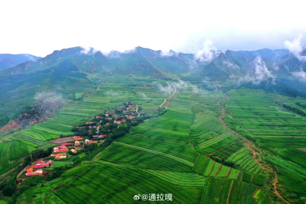 赤峰中糧屠宰場(chǎng)銷售電話號(hào)碼-第1張圖片