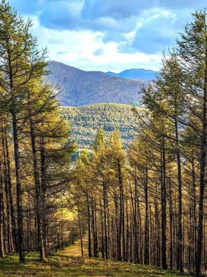 赤峰大坤美發(fā)電話號碼多少-第1張圖片