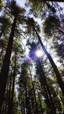 赤峰素人攝影工作室電話號碼-第1張圖片