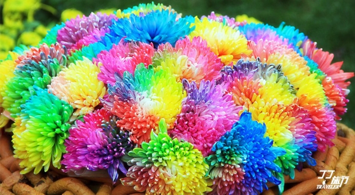 赤峰炫彩養(yǎng)生館電話號碼查詢-第1張圖片