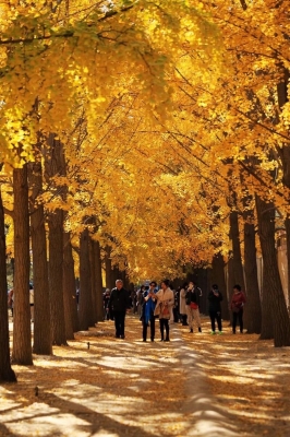 赤峰釣魚臺烤梨地址電話號碼-第1張圖片