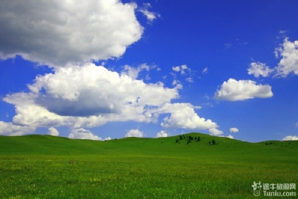赤峰觀賞魚(yú)館電話號(hào)碼多少-第1張圖片
