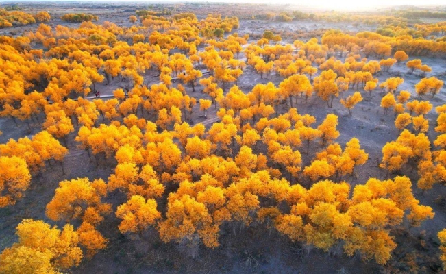 赤峰糧倉(cāng)籃球場(chǎng)電話號(hào)碼查詢-第1張圖片