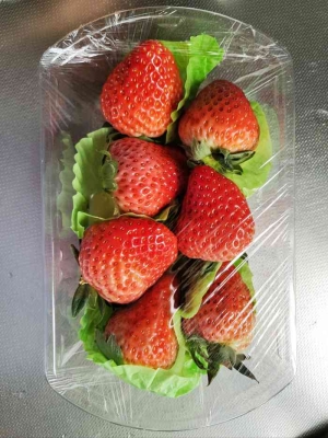 赤峰百果園山莊電話號(hào)碼查詢-第1張圖片