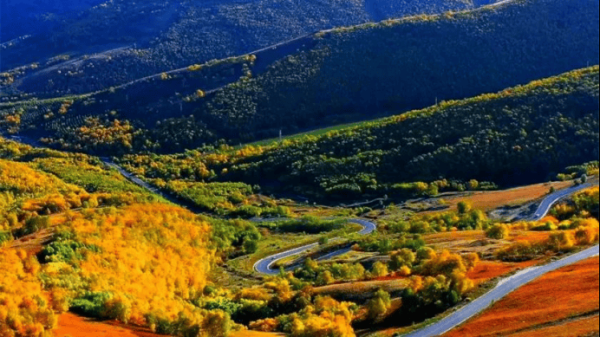 赤峰眾聯(lián)萊茵酒店電話號碼多少-第1張圖片