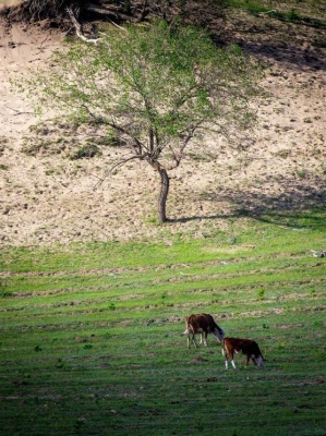 赤峰美川理發(fā)店地址電話號(hào)碼-第1張圖片