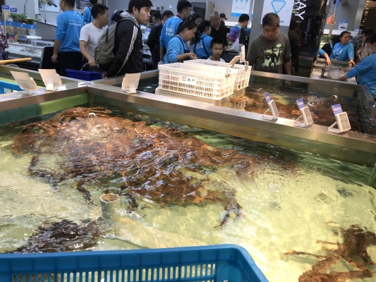 赤峰路盒馬店?duì)I業(yè)時間電話號碼-第1張圖片