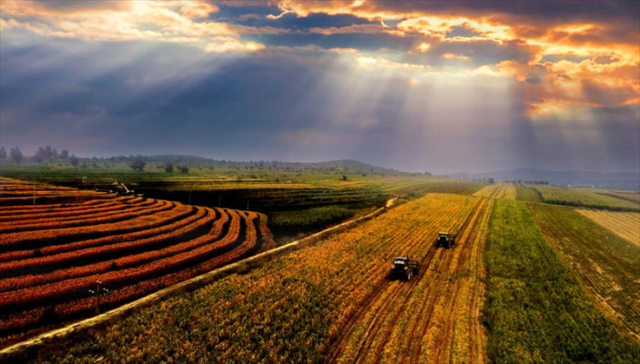 赤峰宏邦農(nóng)牧業(yè)招聘電話號(hào)碼-第1張圖片