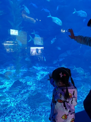 赤峰海辰海洋樂園團購電話號碼-第1張圖片