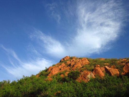 赤峰紅山區(qū)上門(mén)足道電話(huà)號(hào)碼-第1張圖片