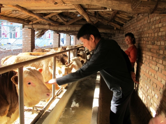 赤峰回乃林拼車電話查詢號(hào)碼-第1張圖片