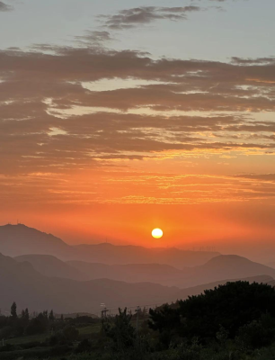 赤峰平莊頭等艙網(wǎng)吧電話號(hào)碼-第1張圖片