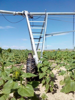 赤峰二手鮮奶機(jī)轉(zhuǎn)讓電話號(hào)碼-第1張圖片