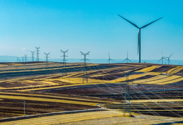 內(nèi)蒙赤峰勞保局電話號(hào)碼是多少-第1張圖片