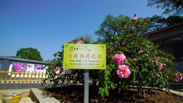 赤峰到溝門班車電話號碼是多少-第1張圖片