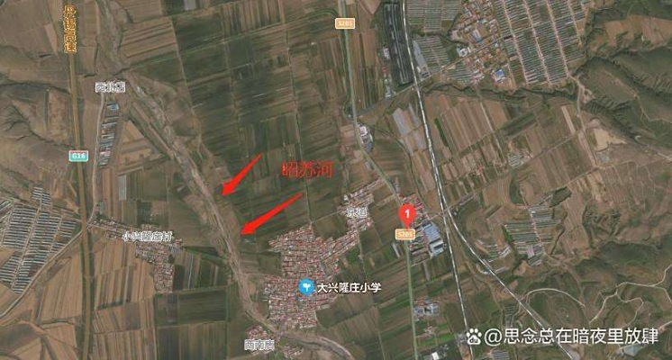 赤峰市放羊犬出售電話地址查詢-第1張圖片