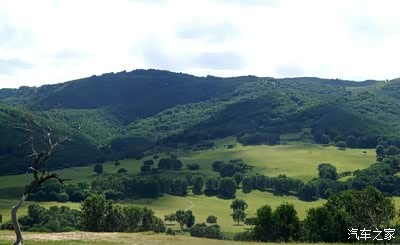 赤峰草皮廠家聯(lián)系電話號碼查詢-第1張圖片