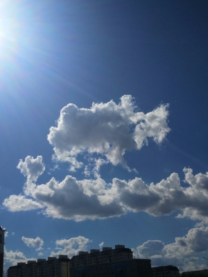 赤峰林西發(fā)水廠地址電話號碼-第1張圖片